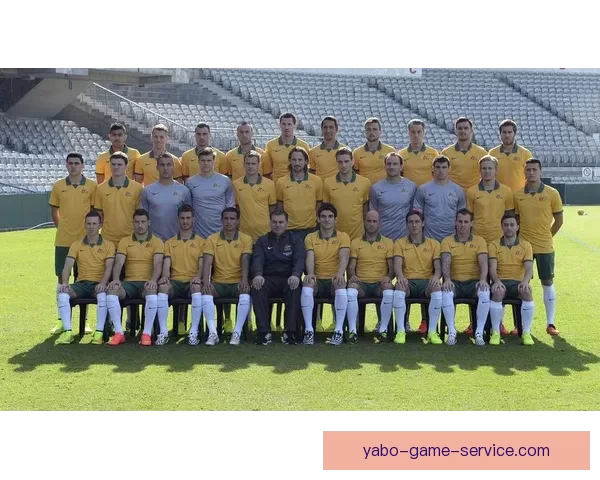 世界杯赛事胜负赔率实时查询与投注技巧全面指南