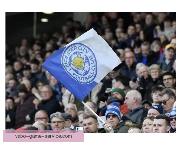 蓝狐近十五轮仅得十一分陷入英冠降级区保级压力骤增